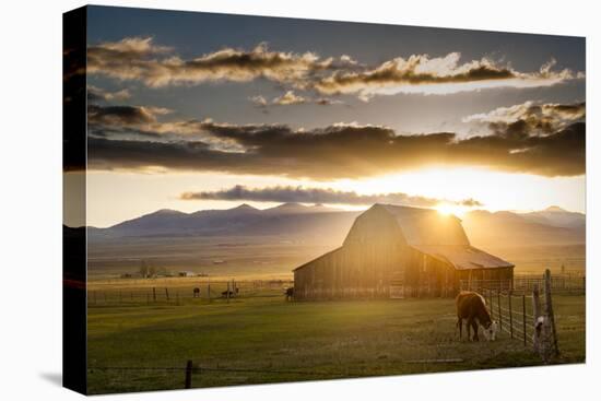 Wet Mountain Barn I-Dan Ballard-Stretched Canvas