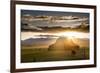 Wet Mountain Barn I-Dan Ballard-Framed Photographic Print