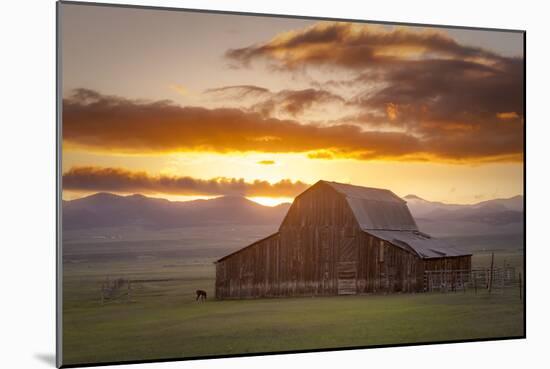 Wet Mountain Barn II-Dan Ballard-Mounted Photographic Print