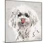 Wet Nose-OnRei-Mounted Premium Giclee Print