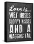 Wet Noses-Erin Clark-Framed Stretched Canvas