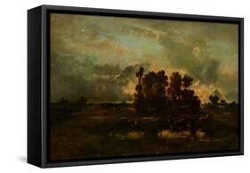 Wet Pasture, C.1870-Narcisse Virgile Diaz de la Pena-Framed Stretched Canvas