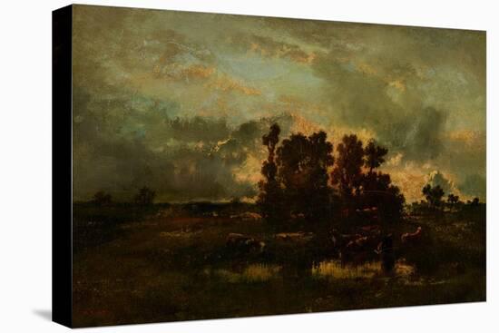 Wet Pasture, C.1870-Narcisse Virgile Diaz de la Pena-Stretched Canvas