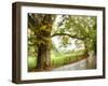 Wet Path-Danny Head-Framed Photographic Print