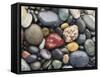 Wet Pebbles, Ruby Beach, Olympic National Park, Washington, Usa Coast-Stuart Westmoreland-Framed Stretched Canvas