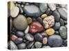 Wet Pebbles, Ruby Beach, Olympic National Park, Washington, Usa Coast-Stuart Westmoreland-Stretched Canvas