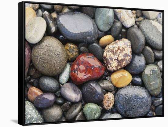 Wet Pebbles, Ruby Beach, Olympic National Park, Washington, Usa Coast-Stuart Westmoreland-Framed Stretched Canvas