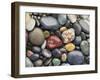 Wet Pebbles, Ruby Beach, Olympic National Park, Washington, Usa Coast-Stuart Westmoreland-Framed Photographic Print