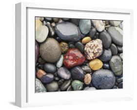 Wet Pebbles, Ruby Beach, Olympic National Park, Washington, Usa Coast-Stuart Westmoreland-Framed Photographic Print