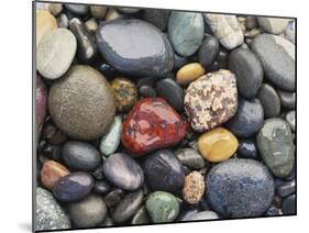 Wet Pebbles, Ruby Beach, Olympic National Park, Washington, Usa Coast-Stuart Westmoreland-Mounted Photographic Print