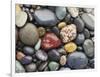 Wet Pebbles, Ruby Beach, Olympic National Park, Washington, Usa Coast-Stuart Westmoreland-Framed Photographic Print