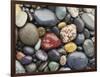 Wet Pebbles, Ruby Beach, Olympic National Park, Washington, Usa Coast-Stuart Westmoreland-Framed Photographic Print