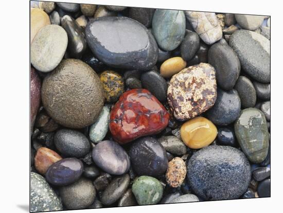 Wet Pebbles, Ruby Beach, Olympic National Park, Washington, Usa Coast-Stuart Westmoreland-Mounted Photographic Print