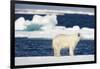 Wet Polar Bear on Pack Ice in the Svalbard Islands-Paul Souders-Framed Photographic Print