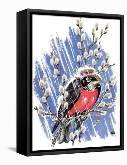 Wet Robin - Child Life-Keith Ward-Framed Stretched Canvas