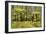 Wet Sclerophyll Forest Consisting of Mainly Mountain-null-Framed Photographic Print