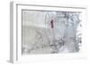 Wet Slick-Joshua Schicker-Framed Giclee Print