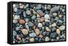 Wet stones on beach, British Columbia, Canada-null-Framed Stretched Canvas