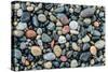 Wet stones on beach, British Columbia, Canada-null-Stretched Canvas