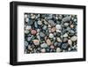 Wet stones on beach, British Columbia, Canada-null-Framed Photographic Print