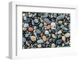 Wet stones on beach, British Columbia, Canada-null-Framed Photographic Print