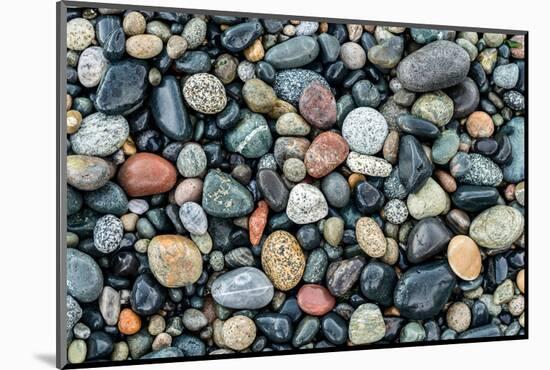 Wet stones on beach, British Columbia, Canada-null-Mounted Photographic Print