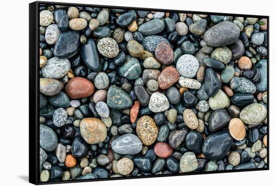 Wet stones on beach, British Columbia, Canada-null-Framed Stretched Canvas