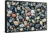 Wet stones on beach, British Columbia, Canada-null-Framed Stretched Canvas