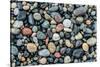 Wet stones on beach, British Columbia, Canada-null-Stretched Canvas