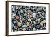 Wet stones on beach, British Columbia, Canada-null-Framed Photographic Print