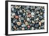 Wet stones on beach, British Columbia, Canada-null-Framed Photographic Print