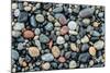 Wet stones on beach, British Columbia, Canada-null-Mounted Photographic Print