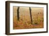 Wet Weeds Fence-Chris Vest-Framed Art Print