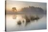 Wetland at sunrise, Klein Schietveld, Brasschaat, Belgium-Bernard Castelein-Stretched Canvas