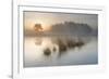 Wetland at sunrise, Klein Schietveld, Brasschaat, Belgium-Bernard Castelein-Framed Photographic Print