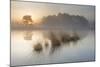 Wetland at sunrise, Klein Schietveld, Brasschaat, Belgium-Bernard Castelein-Mounted Photographic Print
