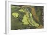 Wetland East, Guyana-Pete Oxford-Framed Photographic Print