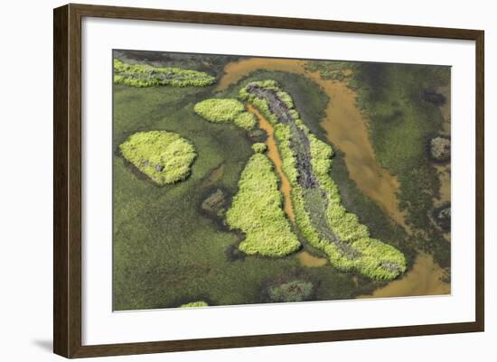Wetland East, Guyana-Pete Oxford-Framed Photographic Print