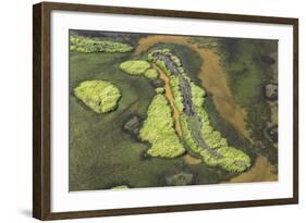 Wetland East, Guyana-Pete Oxford-Framed Photographic Print