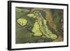 Wetland East, Guyana-Pete Oxford-Framed Photographic Print