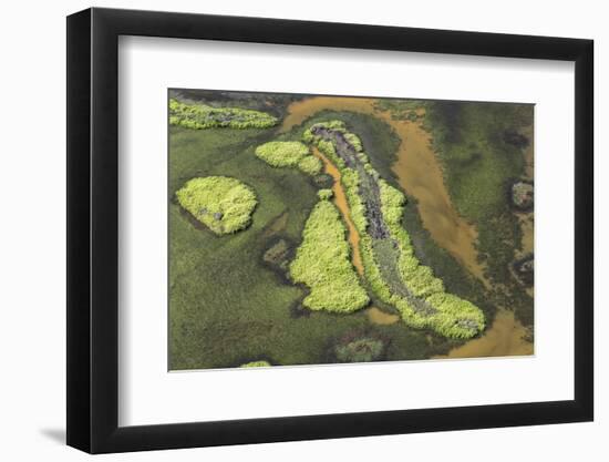 Wetland East, Guyana-Pete Oxford-Framed Photographic Print