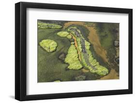 Wetland East, Guyana-Pete Oxford-Framed Photographic Print