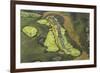 Wetland East, Guyana-Pete Oxford-Framed Photographic Print