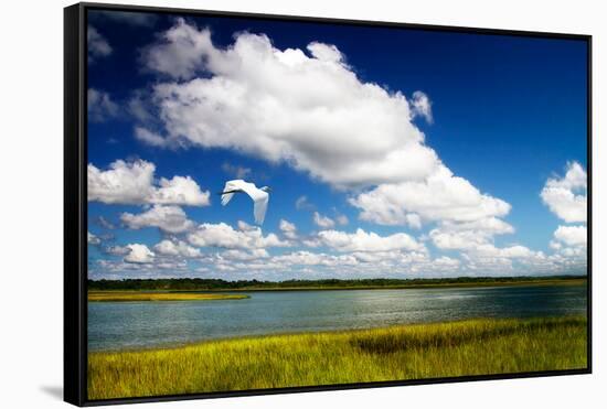 Wetland Herons I-Alan Hausenflock-Framed Stretched Canvas