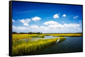 Wetland Herons II-Alan Hausenflock-Framed Stretched Canvas