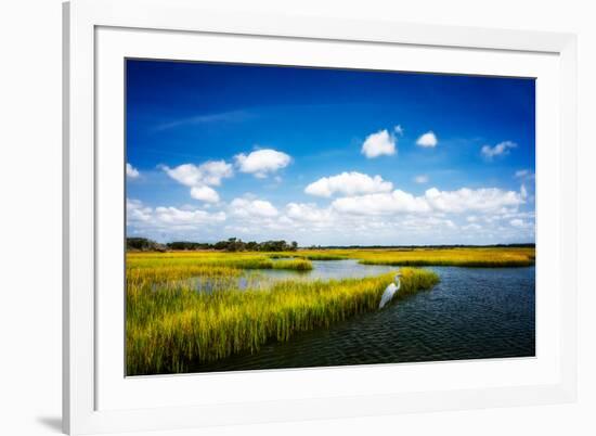 Wetland Herons II-Alan Hausenflock-Framed Photo