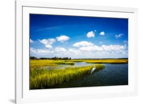 Wetland Herons II-Alan Hausenflock-Framed Photo