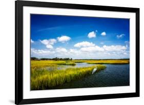 Wetland Herons II-Alan Hausenflock-Framed Photo