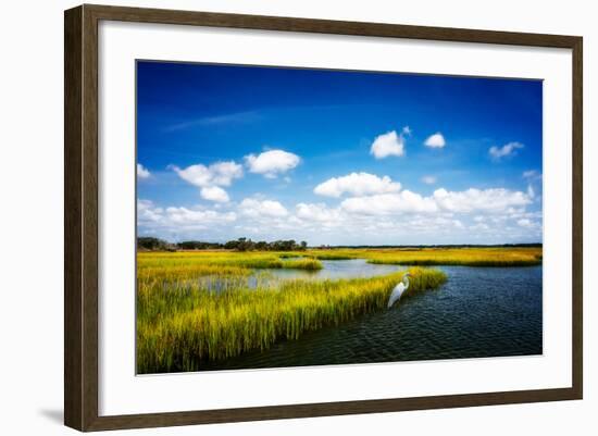 Wetland Herons II-Alan Hausenflock-Framed Photo