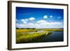 Wetland Herons II-Alan Hausenflock-Framed Photo